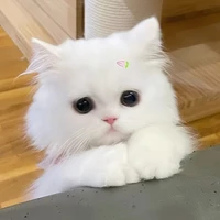 Tác giả :))