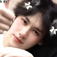 Trương Chân Nguyên /em