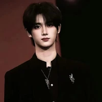 Đinh Trình Hâm /anh