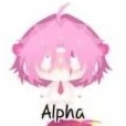 hiha alpha 🎀