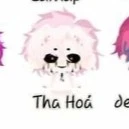 tha hoá🎀