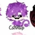 catnap🎀