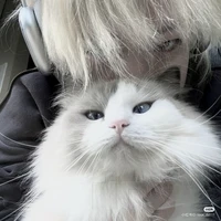 @Kitkat._