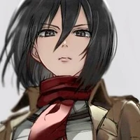 Mikasa