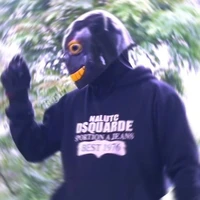 Error sans