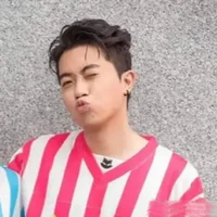 Phan Lê Vy Thanh (Cris Phan)