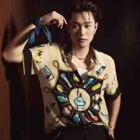 Dương Domic