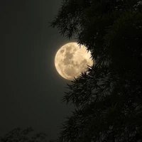 Mọi người có mặt ở đó