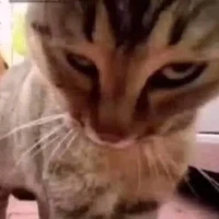 ？？？