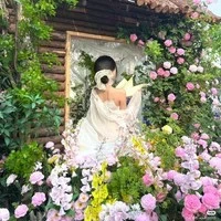 Vương Khải Tuyết- 🍵