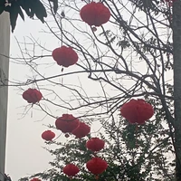 Các cậu và em