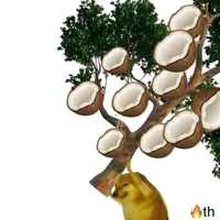 Nguyễn Linh - tác giả chính