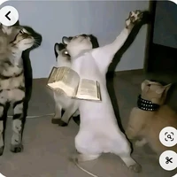 T/G ủng hội LGBT 🏳️‍🌈