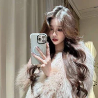 LIN ZIQi