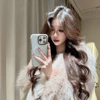 LIN ZIQi