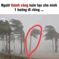 NV quần chúng