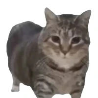 thêm 1 thằng npc phụ khác =v