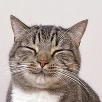 tác giả đẹp gái