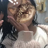 Sữa