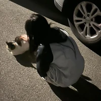 Kae Pan [Lúc nhỏ]