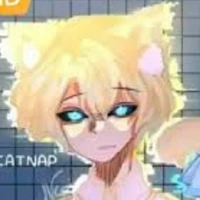 hiha anti catnap