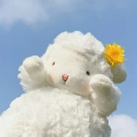 𝔹𝕠𝕟𝕘𝕚𝕦𝕠𝕚𝕚𝕚