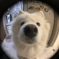 Nguyễn Ngọc Huyền