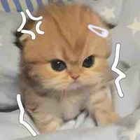 Tác giả👀❤️‍🔥iu các độc giả😘