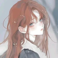 Triệu Vũ Đình (Iris)