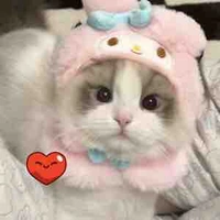 Con mắm hệ thống-271