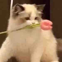 All