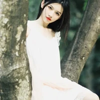 Diệp thư Kỳ