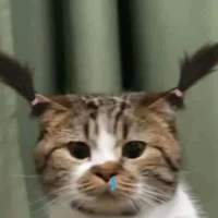 Hệ thống báo 485(Cokari)