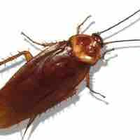 Ng viết ✍️ á 😤 