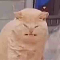 Con mụ tác giả ák quỷ fi fai 😈