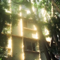 Người phụ nữ lạ