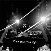 PHẠM ĐÌNH THÁI NGÂN