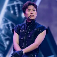 dương domic