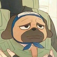 Pakkun