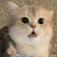 bạn thân (Hằng)