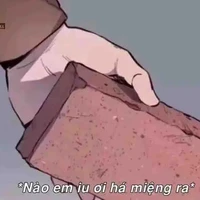 chó là bn ko phải me(nói mấy ng báo cáo)