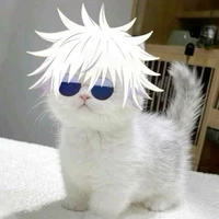 Tg đoá pất ngờ honk