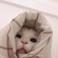 All