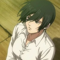 Mikasa