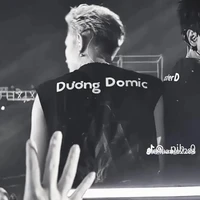 Dương Domic