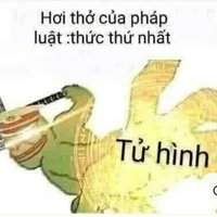 cả bọn