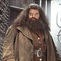 Rubeus Hagrid 