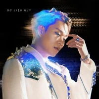 trần đăng dương - dương domic