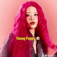 Young Puppy