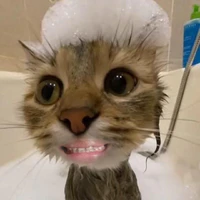 Tgiả